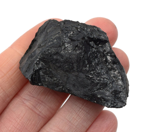 Raw Bituminous Coal, Rock Specimen, 1" - Geologist Selected Samples - Eisco Labs