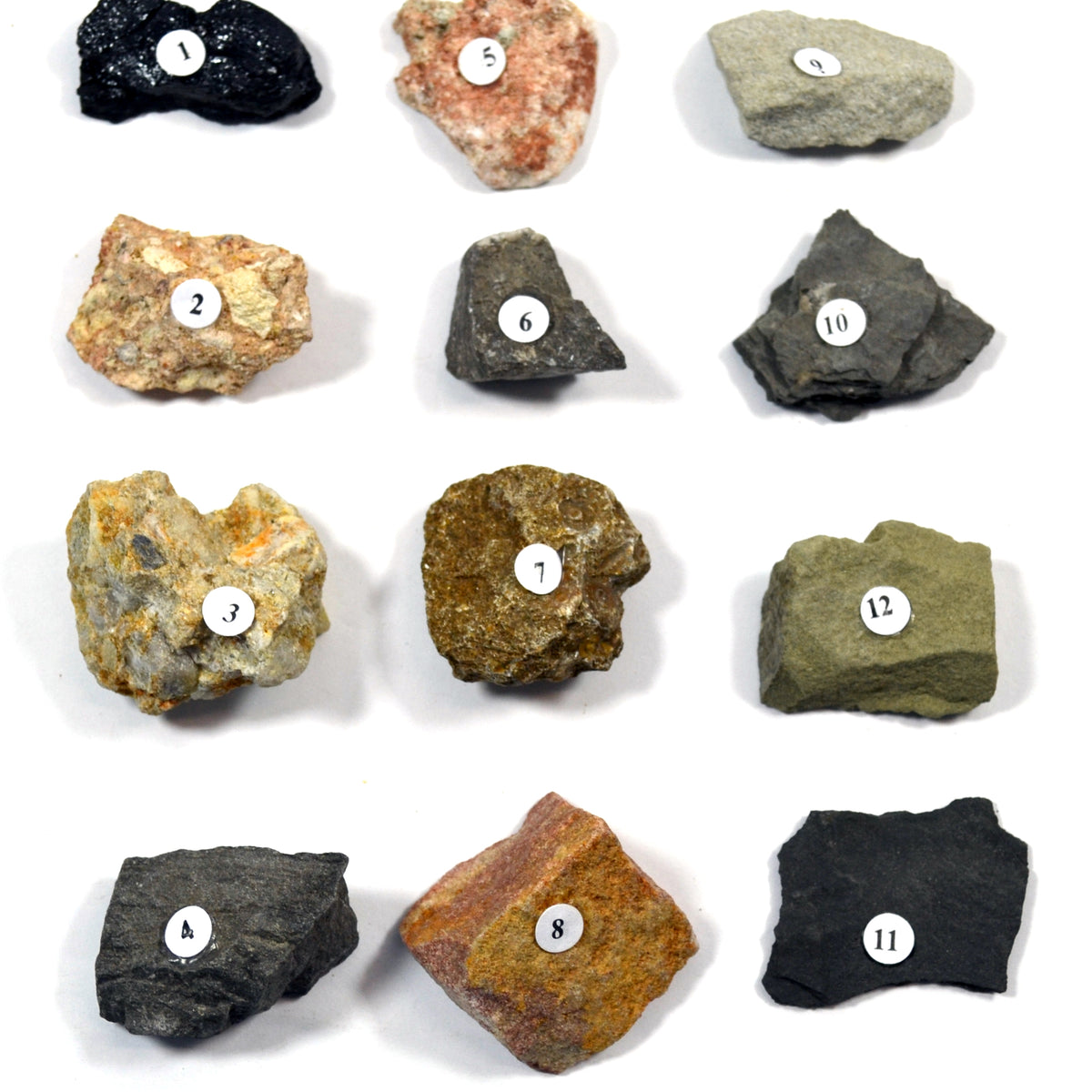 Sea Cut Rocks TECH CUT Rocks and Minerals — Eisco Labs