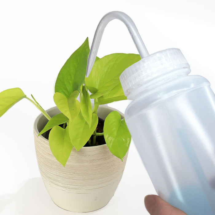 Eisco - 500 mL Wide Mouth Wash Bottle - LDPE Flexible and Durable - Leak-Proof Translucent Bottle for Liquid Dispensing, Cleaning, Rinsing, and Plant Care