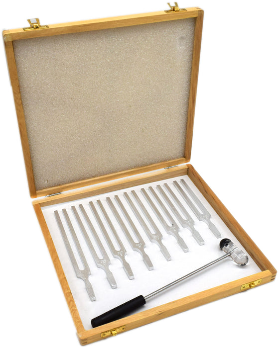 Eisco - Scientific Pitch Tuning Fork Set, 8 Forks (C4=256Hz), Includes Mallet & Wooden Storage Case, Aluminum, Educational Acoustic Physics Experiments, Sound Wave Demonstrations, Classroom Lab Kit