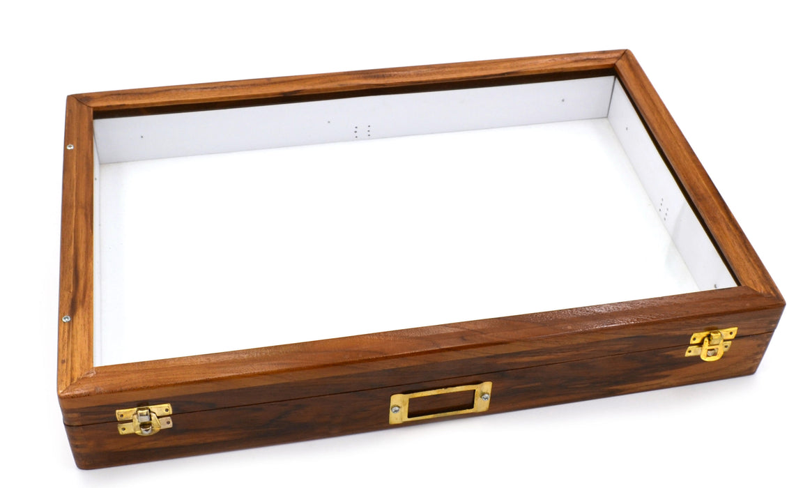 Polished Wood Insect Storage Box (17.7 x 12 x 2.7 in) - Ideal for Preserving and Displaying Insects - Entomology Collection Case-  Eisco Labs