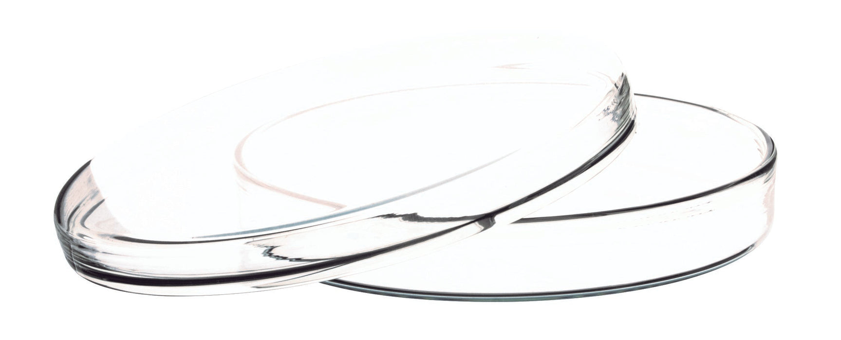 Petri Dish, 3.93" (100mm) - Beaded Edges - Easy to Sterilize for Repeated Use - Borosilicate Glass - Eisco Labs