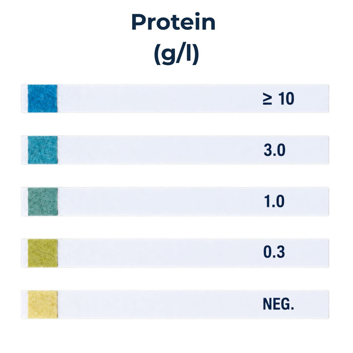 Eisco Protein Test Strips for Water-Based Samples
