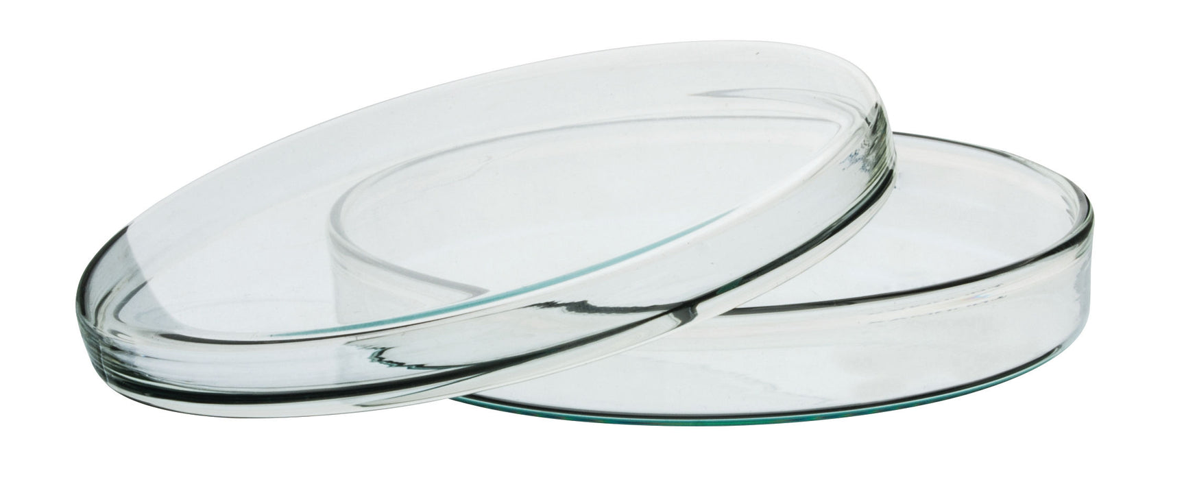 Petri Dish, 5.9" (150mm) - Beaded Edges - Easy to Sterilize for Repeated Use - Borosilicate Glass - Eisco Labs