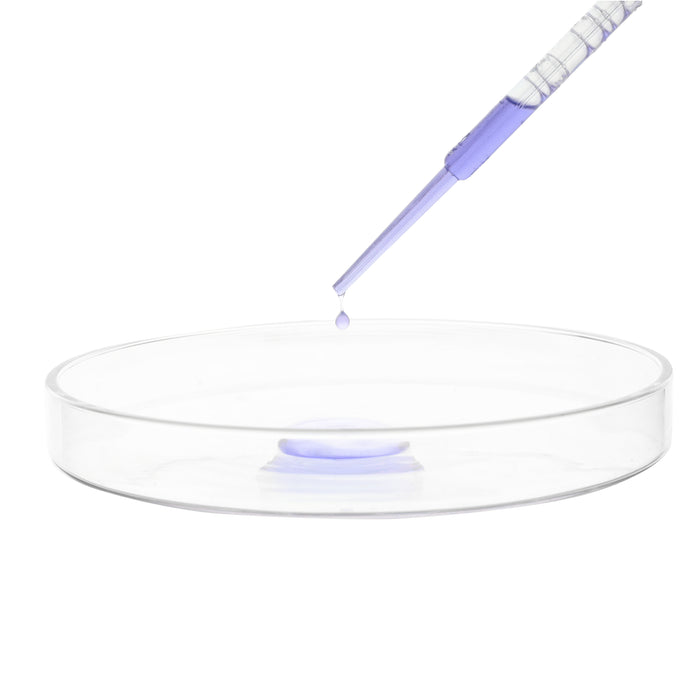 Petri Dish, 5.9" (150mm) - Beaded Edges - Easy to Sterilize for Repeated Use - Borosilicate Glass - Eisco Labs