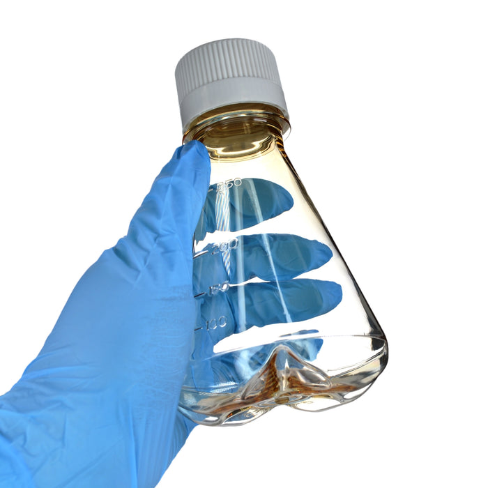 Eisco - Pack of 1, 250mL Sterile Polycarbonate Erlenmeyer Flask, Non-Vented, Baffled Bottom, Gamma Sterilized, USP Class VI, Lab-Grade, Mixing, Cell Culture, Shaker Compatible