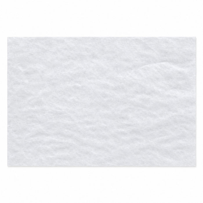Eisco Lens Cleaning Tissue Paper for Glass & Plastic Lenses, 100 Sheets