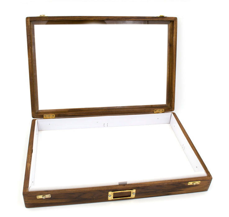 Polished Wood Insect Storage Box (17.7 x 12 x 2.7 in) - Ideal for Preserving and Displaying Insects - Entomology Collection Case-  Eisco Labs