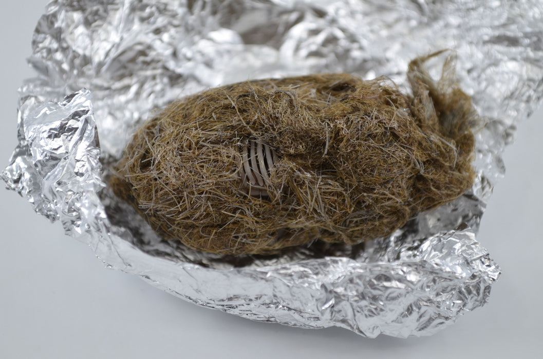 EcoExplore Simulated Owl Pellet with Vole by Eisco Labs - Realistic Educational Tool for Biology and Ecology, Reusable, 3x1.25 Inches