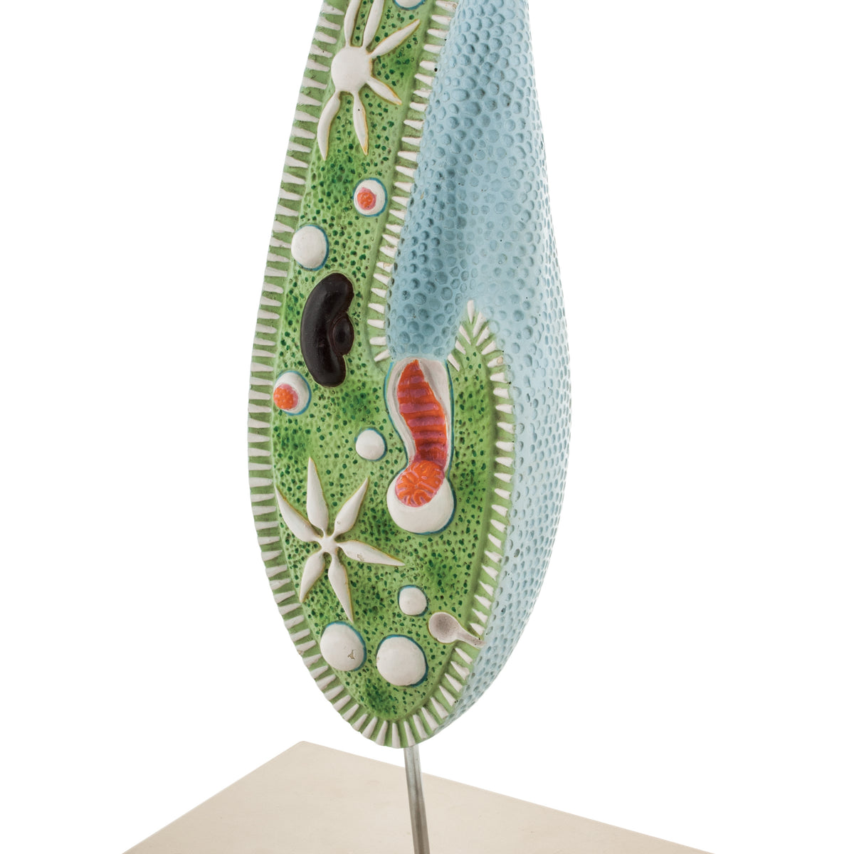 ZM0016_1200x1200_crop_center.