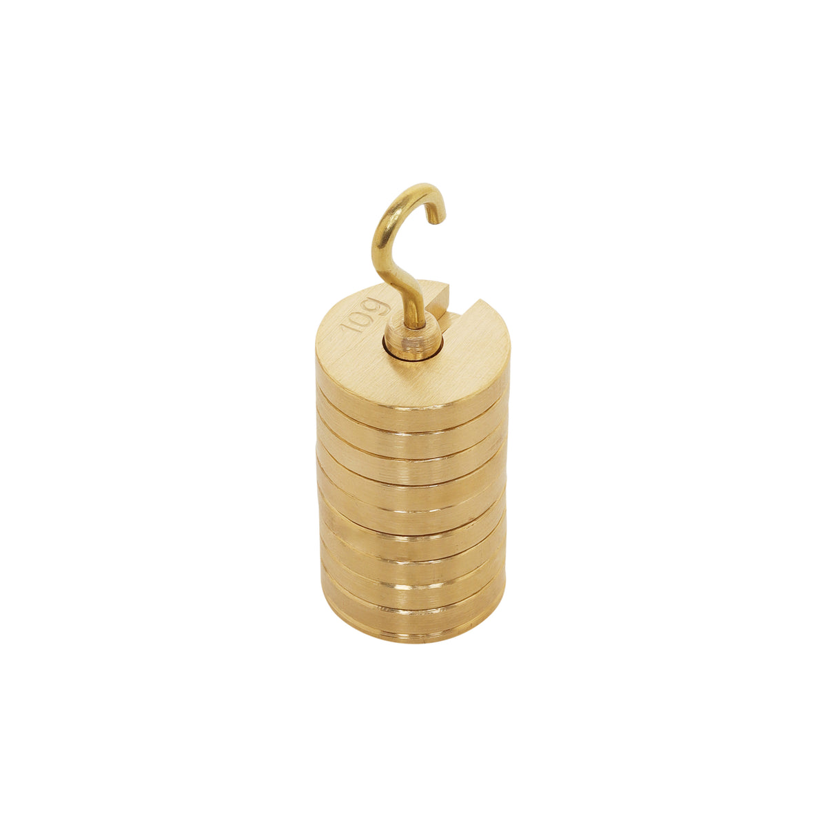 100g weight with hook Eisco Labs Double Hooked Stainless Steel 100 Grams (0.22 Lbs) with hook Double Hooked Weight Brass 100