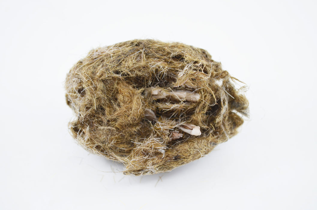 EcoExplore Simulated Owl Pellet with Vole by Eisco Labs - Realistic Educational Tool for Biology and Ecology, Reusable, 3x1.25 Inches
