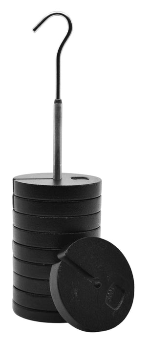 10 Piece Slotted Mass Set, 1000g - Zinc Casted - Includes 9 weights (100g  each), one hanger (100g) - Eisco Labs
