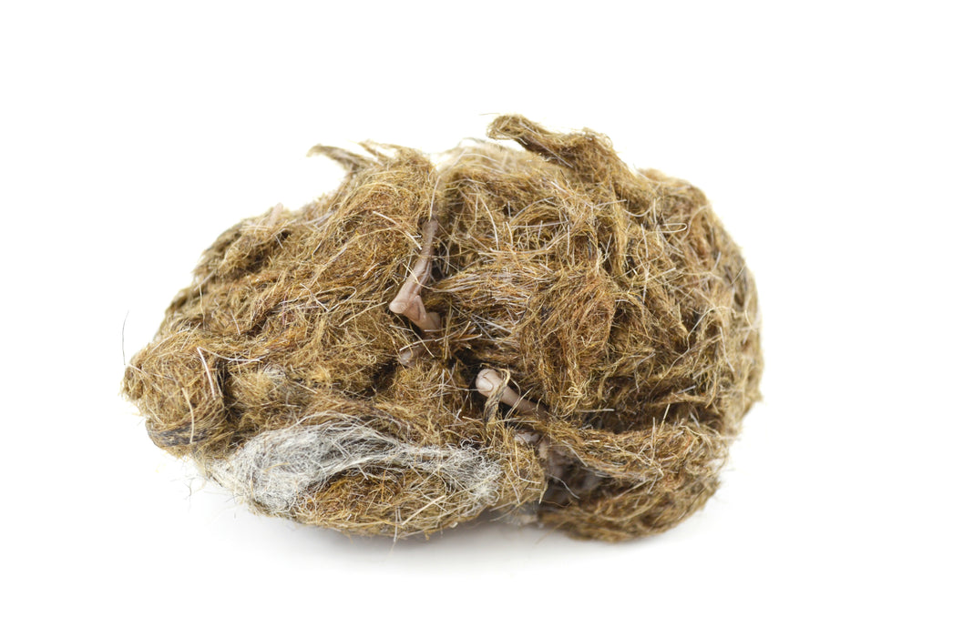 EISCO Simulated Owl Pellet - Mouse, approx.  3”x1.5”