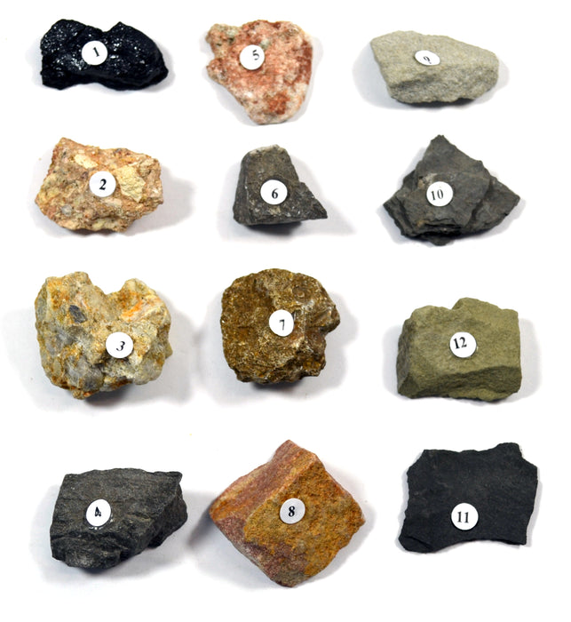 Eisco Sedimentary Rocks Kit - Contains 12 specimens measuring approx. 1" (3cm) (Discontinued)