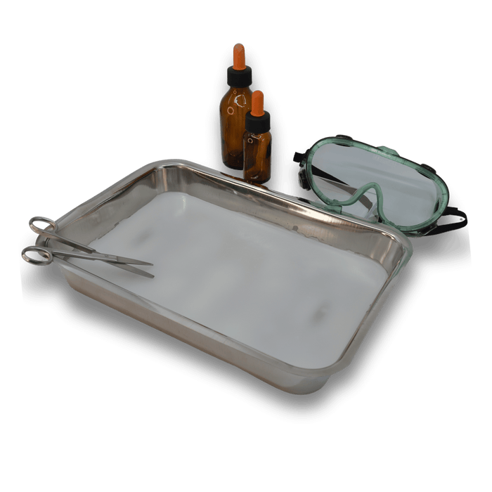 Eisco Labs - Metal Dissecting Tray with Wax, 12x9x2" - Stainless Steel Dissection Tray for Biology, Anatomy, Forensic Science & Specimen Pinning, Lab Dissection Trays, Wax-Lined Stainless Trays