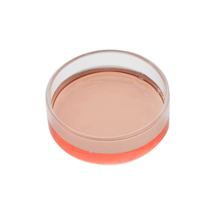 Eisco Petri Dish, 2" (50mm) - Autoclavable Borosilicate Glass