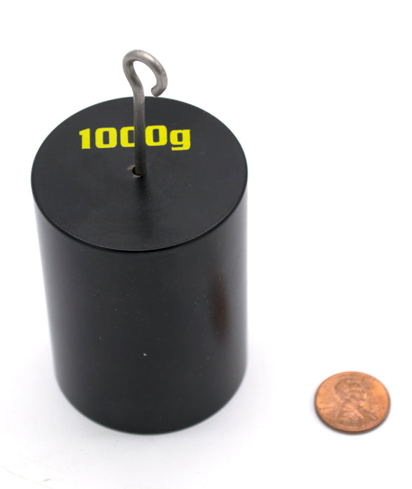 Double Hooked Iron Weight 1000 grams (2.2 Lbs.) - Eisco Labs