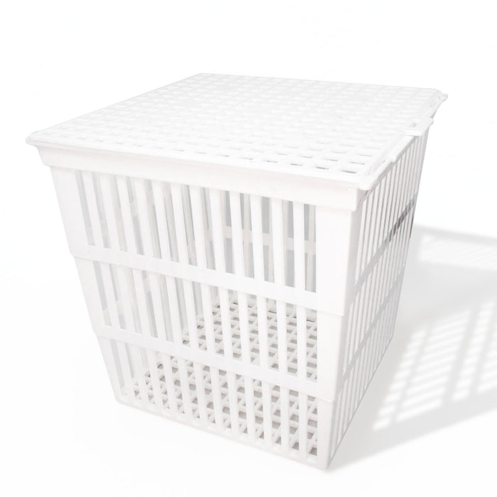 Eisco - Polypropylene Test Tube Basket with Cover, 9x9x9 Inches - Autoclavable, Durable, Non-Corrosive Storage Basket for Laboratory Use
