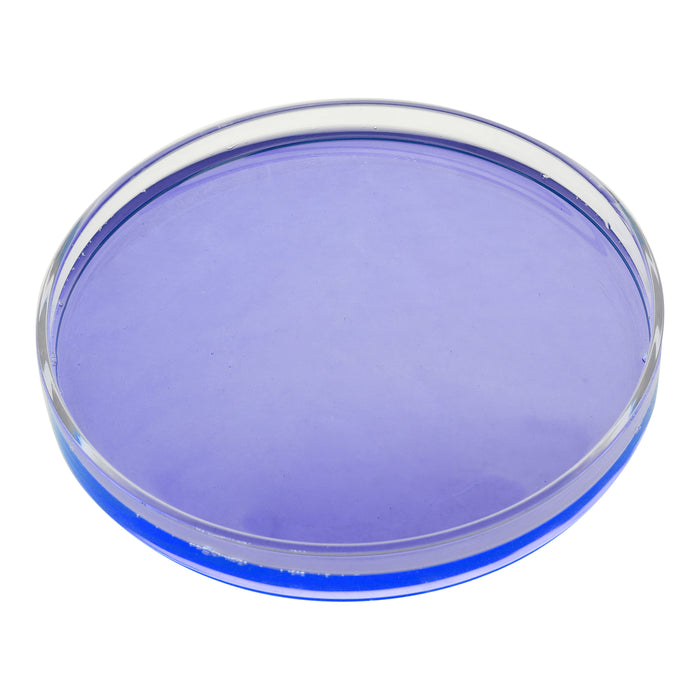 Petri Dish, 5.9" (150mm) - Beaded Edges - Easy to Sterilize for Repeated Use - Borosilicate Glass - Eisco Labs