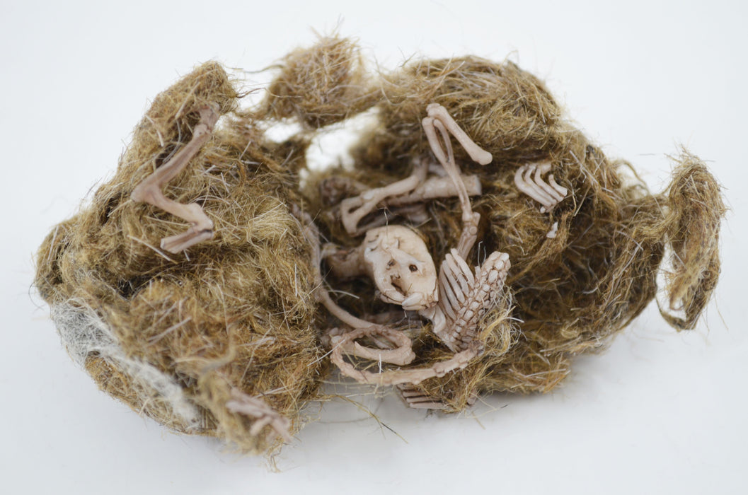 EcoExplore Simulated Owl Pellet with Mouse by Eisco Labs - Realistic Educational Tool for Biology and Ecology, Reusable, 3x1.5 Inches