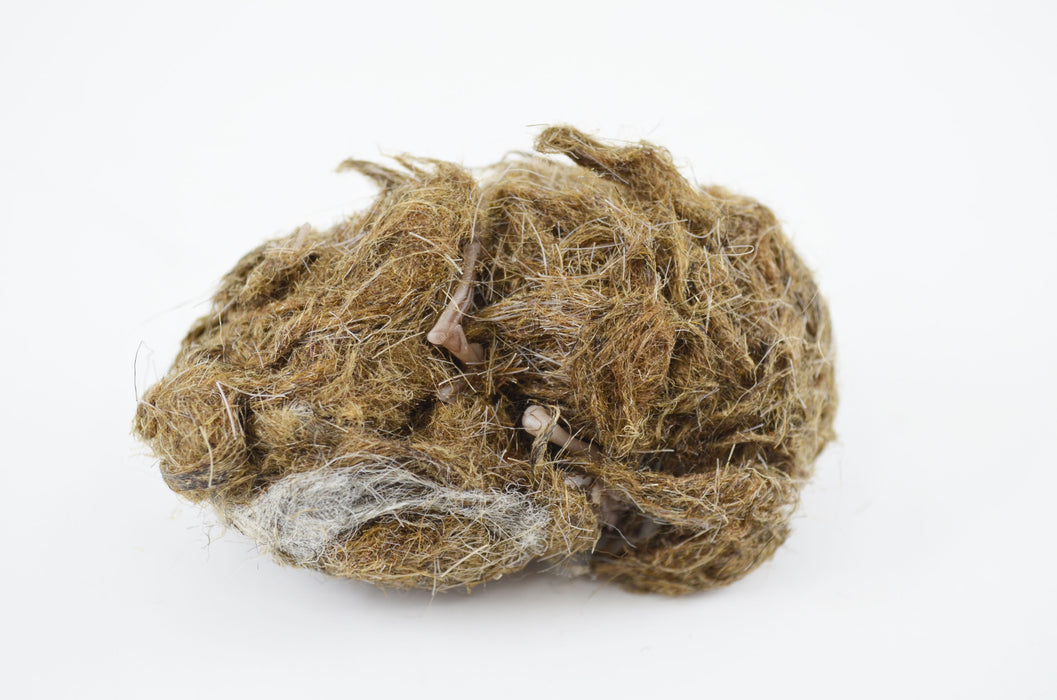 EcoExplore Simulated Owl Pellet with Mouse by Eisco Labs - Realistic Educational Tool for Biology and Ecology, Reusable, 3x1.5 Inches