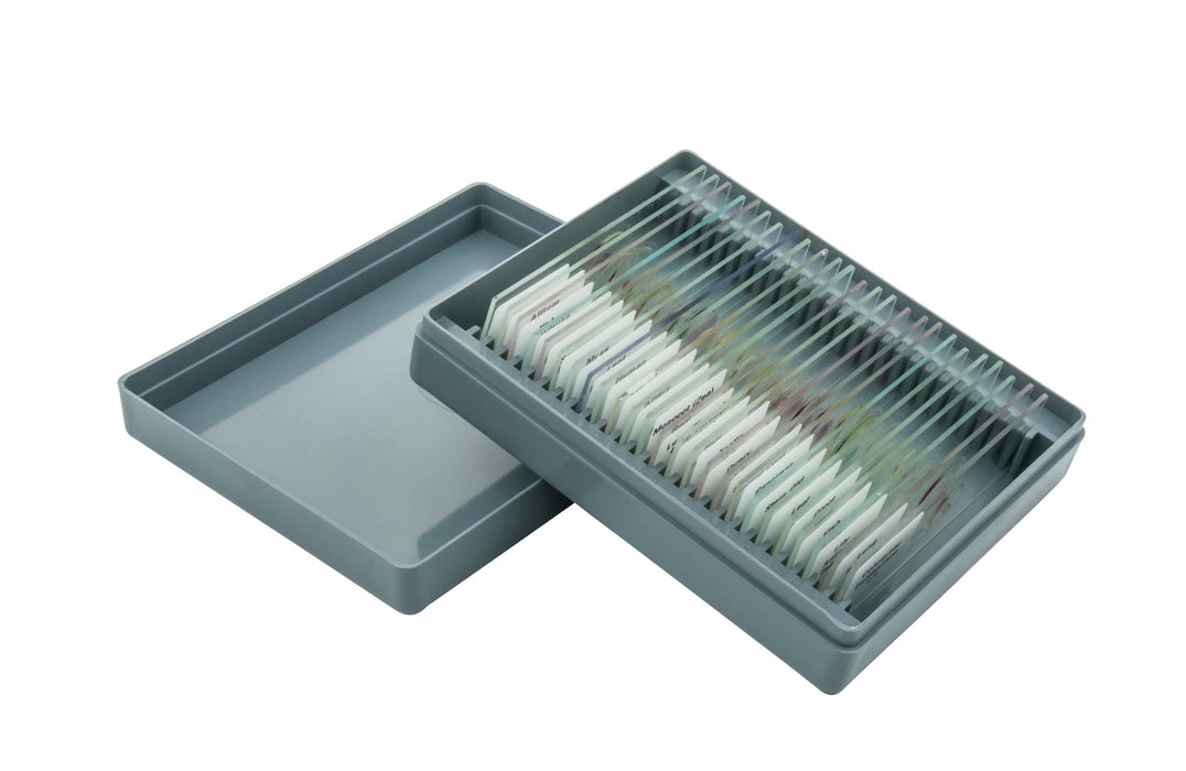 Microscope Slide Set - Basic, Set of 25