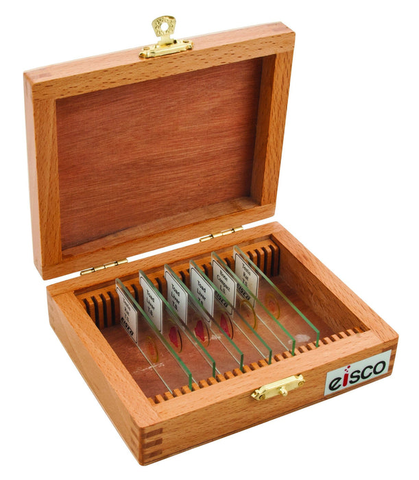 Slide Box Wooden for 25 slides for Geological slides