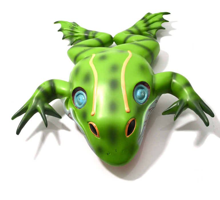 Eisco Labs Frog Dissection model ( Bull Frog ) on Stand