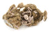 EISCO Simulated Owl Pellet - Mouse, approx.  3”x1.5”