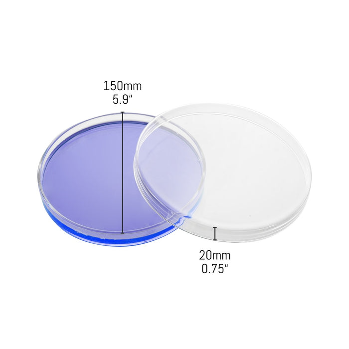 Petri Dish, 5.9" (150mm) - Beaded Edges - Easy to Sterilize for Repeated Use - Borosilicate Glass - Eisco Labs