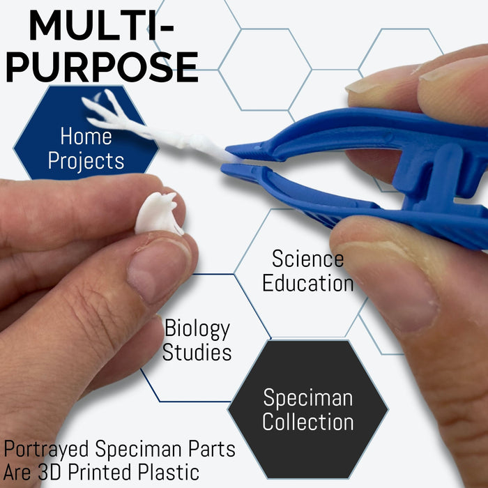 Eisco Labs - 5" Disposable Forceps - Precision Grip, Plastic Tweezers for Laboratory, Classroom, and Educational Use (12 Pack)