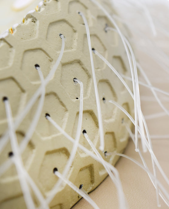Paramecium Model, Three Dimensional, Sectional View  with Hand Painted Details - Mounted on Base, 15" x 9.5" - Eisco Labs