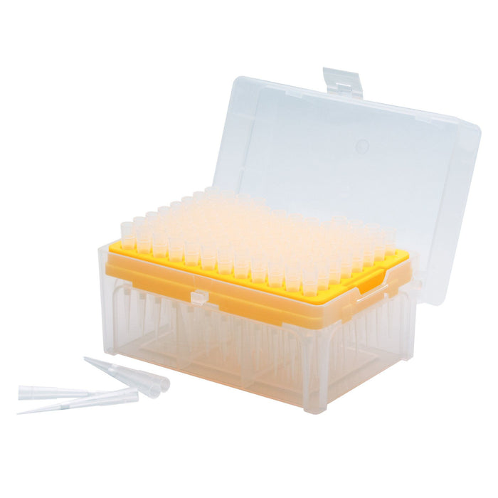 Racked Filter Tips, 50µl - 96 Tips - Graduated - Hydrophobic, Polyethylene Filtered Tips - Sterile, Autoclavable - Eisco Labs