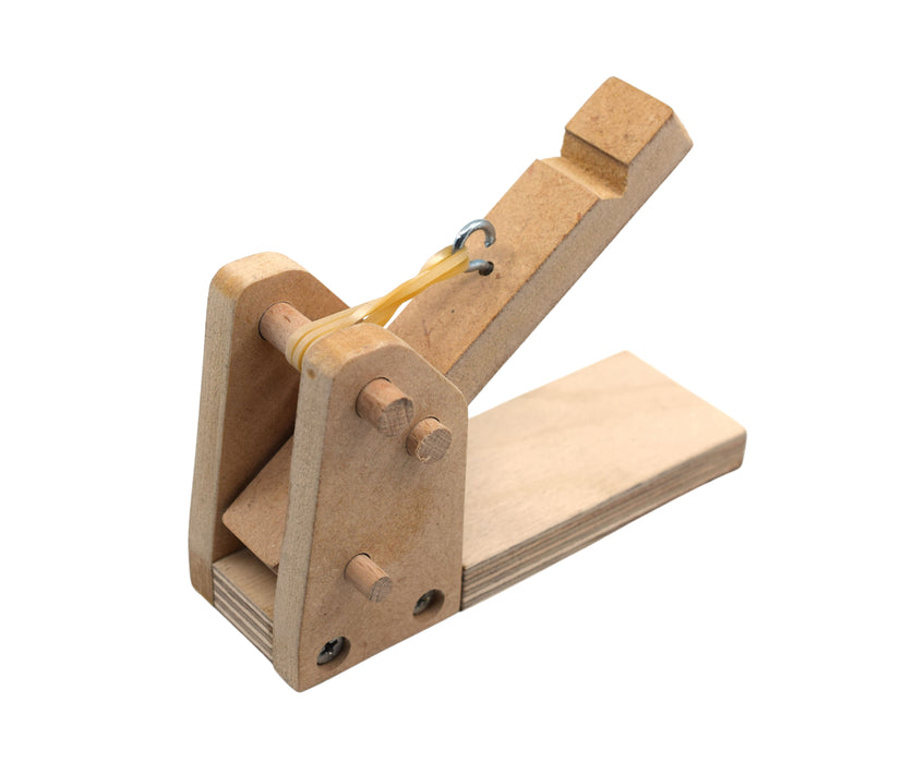 Miniature Catapult Kit - Build Yourself  - STEM Learning - Comes with Everything You Need - Explore Force, Acceleration, Center of Mass, Hooke's Law & More - Garage Physics by Eisco