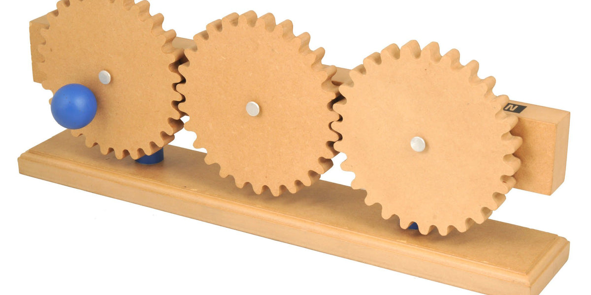 gears training Gear Train Model, 16.25 Inch - Demonstrates How Gears Work