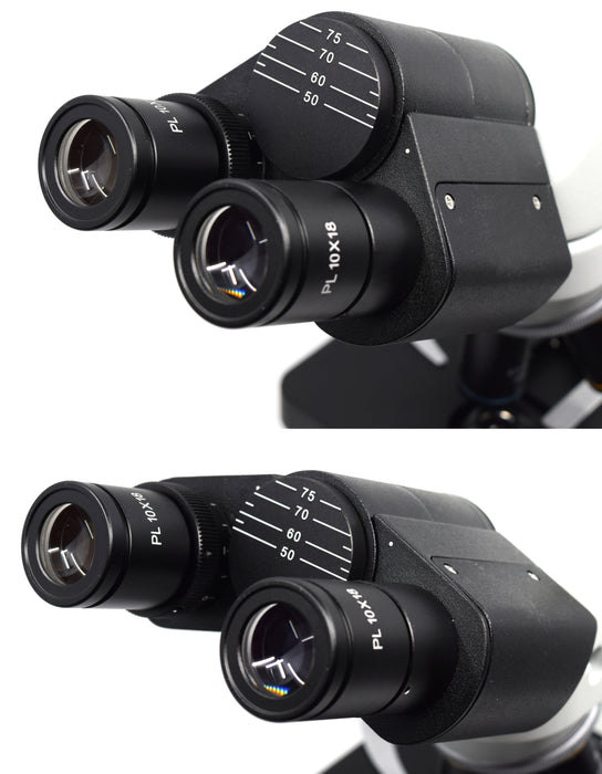 Premium Binocular Microscope - Finite Color Corrected Optical System, LED Illumination - 4X, 10X, 40X (S) and 100X Oil (S) - 30° inclined Siedentopf Head, 360° Rotatable - Eisco Labs