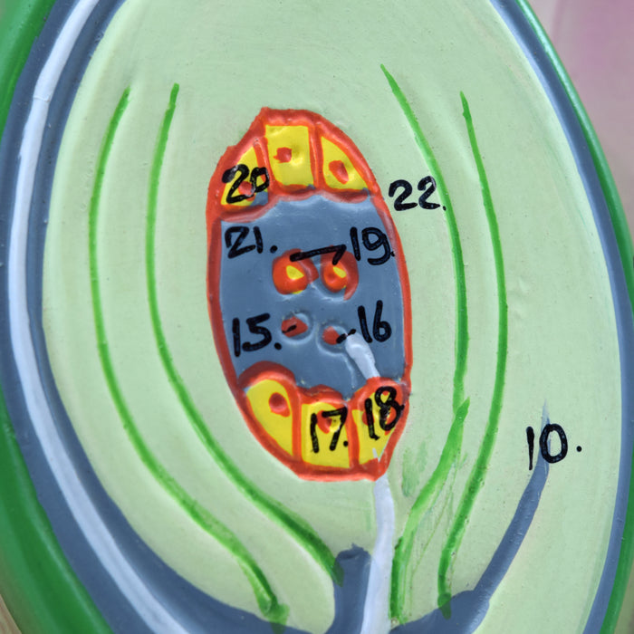 Typical Flower Model, Three Dimensional, Vertical Section  with Hand Painted Details - Mounted on Base, 14" x 9" - Eisco Labs