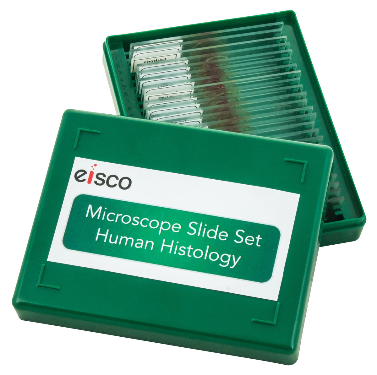Microscope Slide Set - Human Histology, Set of 25 — Eisco Labs