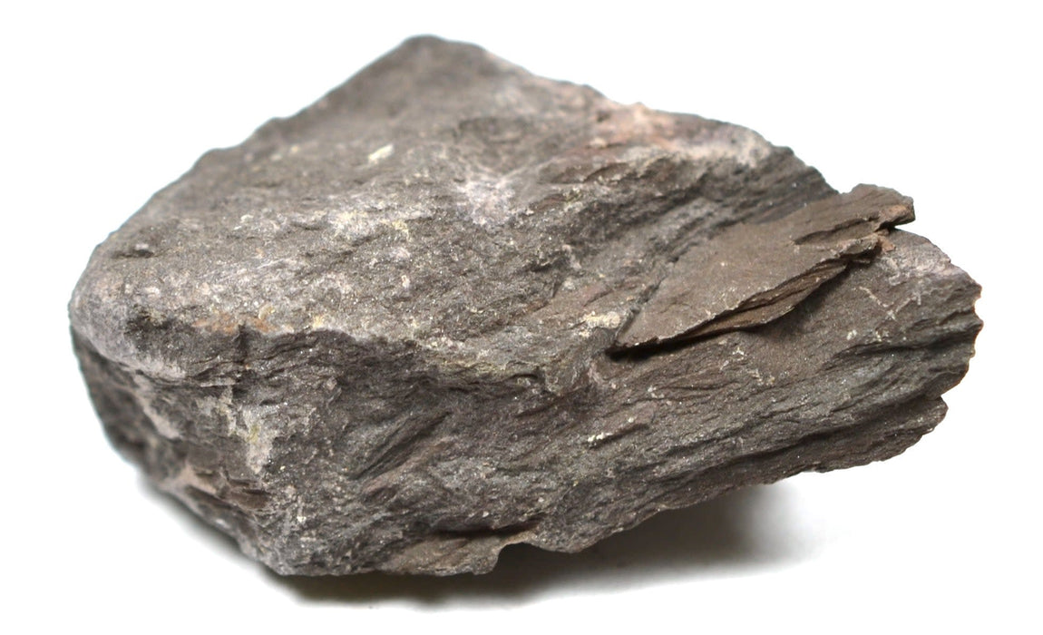 Eisco Hornfels Specimen (Metamorphic Rock), Approx. 1" (3cm) - Pack of 12