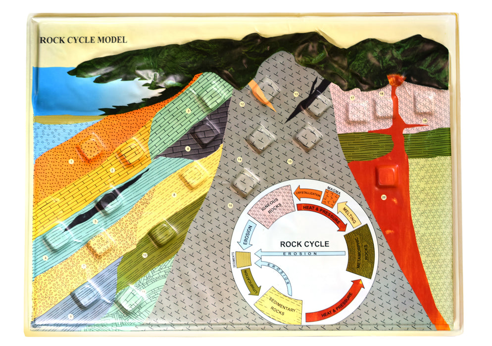 Rock Cycle Model, 18" x 24" - 3D Cross Section of Earth Crust - Includes Teachers Guide
