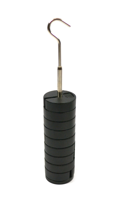 Eisco Labs Slotted Masses Set- Zinc Casted, Set of 9 weights, one hanger each of 50g, Total 500g
