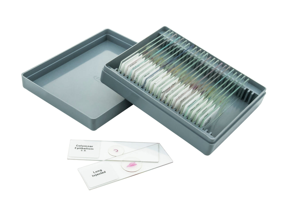 Microscope Slide Set - Basic, Set of 25