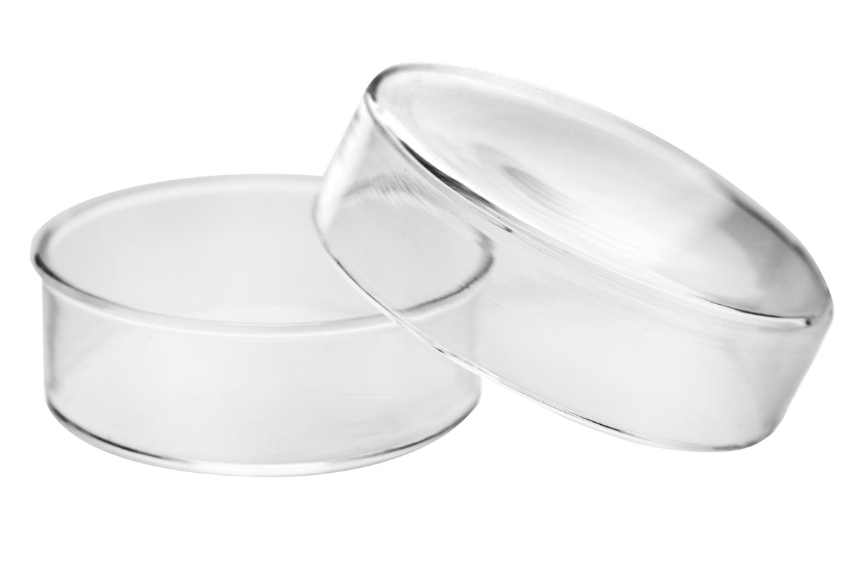 Eisco Petri Dish, 2