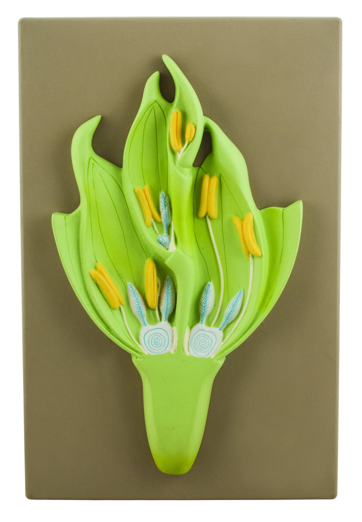 Monocot Flower Model (Wheat) - Three Dimensional, Longitudinal