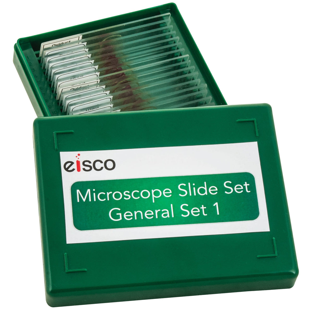 Microscope Slide Set - General Set No. I, Set of 25 — Eisco Labs