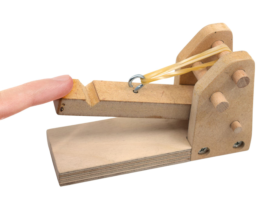 Miniature Catapult Kit - Build Yourself  - STEM Learning - Comes with Everything You Need - Explore Force, Acceleration, Center of Mass, Hooke's Law & More - Garage Physics by Eisco
