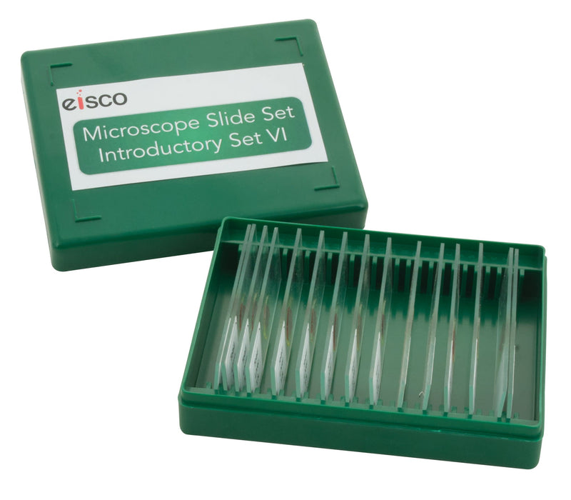 Microscope Slide Set - Introductory Set No. VI, Set of 15