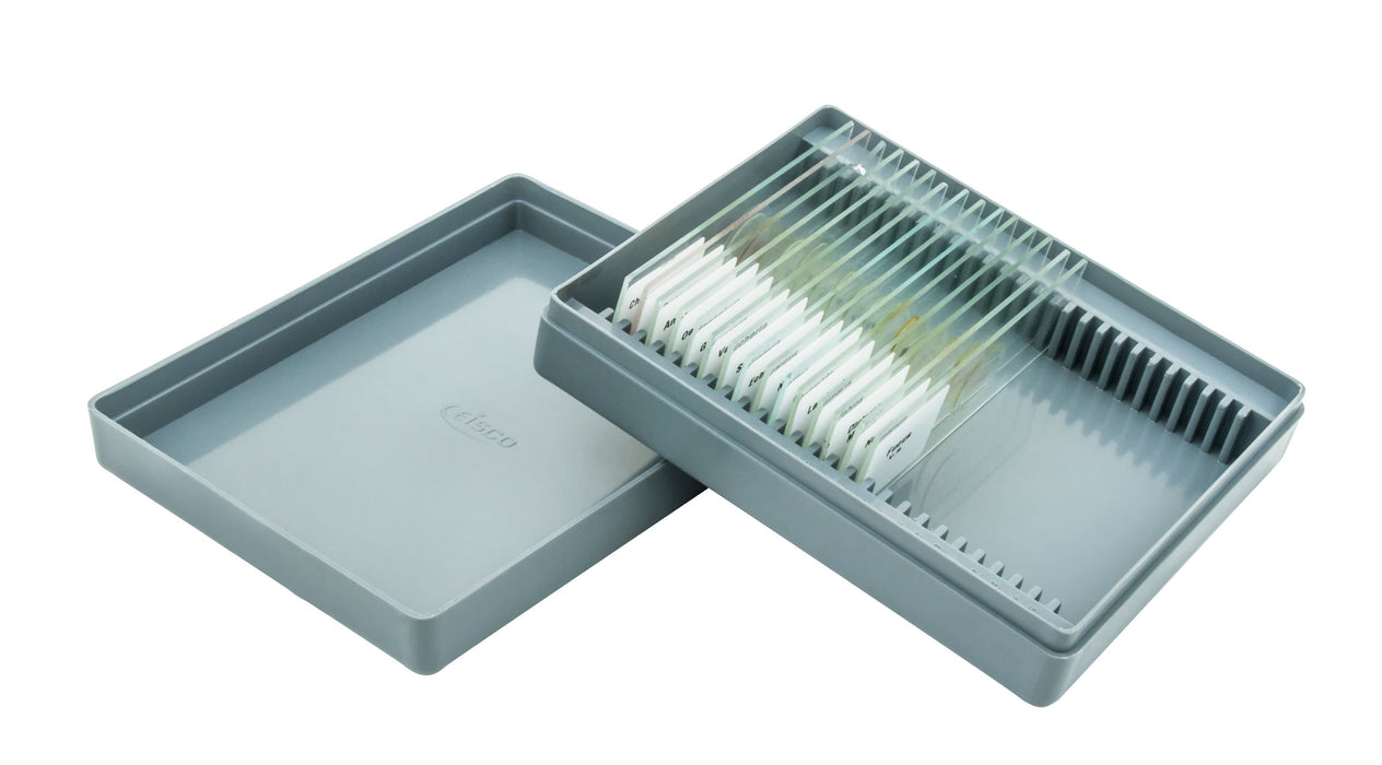 Microscope Slide Set Algae Survey Slide Set No VII, set of 15 Slides