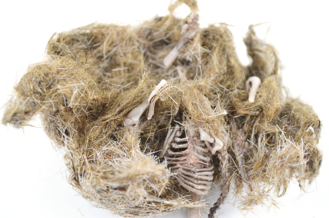 EISCO Simulated Owl Pellet - Vole, approx.  3”x1.25”